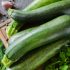 fresh-organic-zucchini-garlic-parsley-herbs-spices_74580-1343