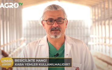 kaba-yem